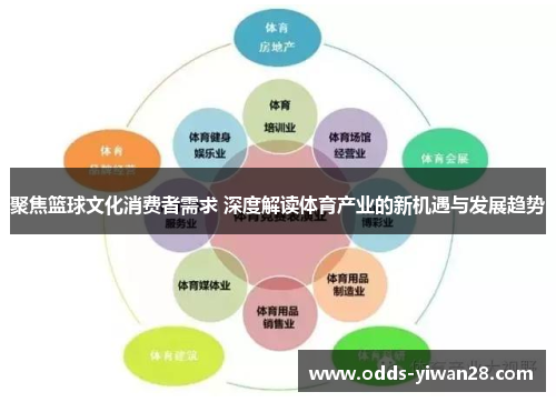 聚焦篮球文化消费者需求 深度解读体育产业的新机遇与发展趋势