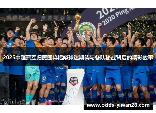 2025中超冠军归属即将揭晓球迷期待与各队秘战背后的精彩故事
