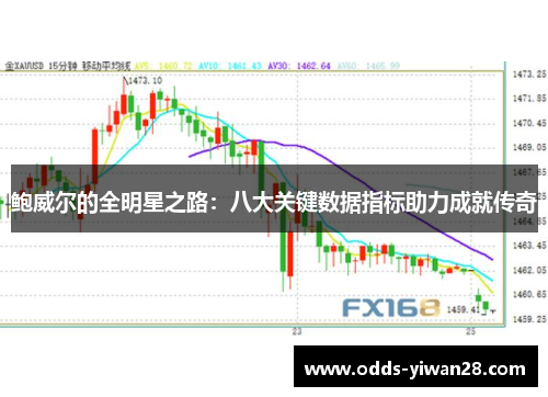 鲍威尔的全明星之路：八大关键数据指标助力成就传奇